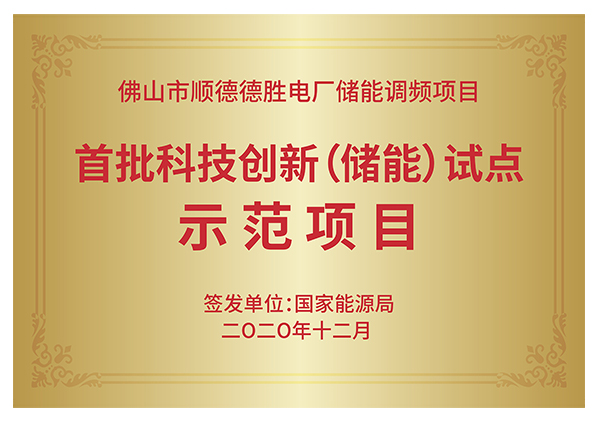 国家能源局首批科技创新（储能）试点示范单位